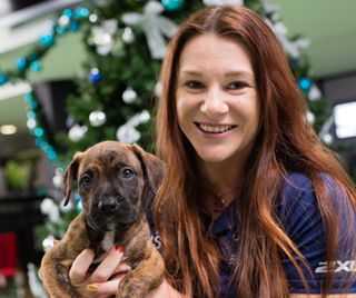 susan seipel with boston the rspca puppy