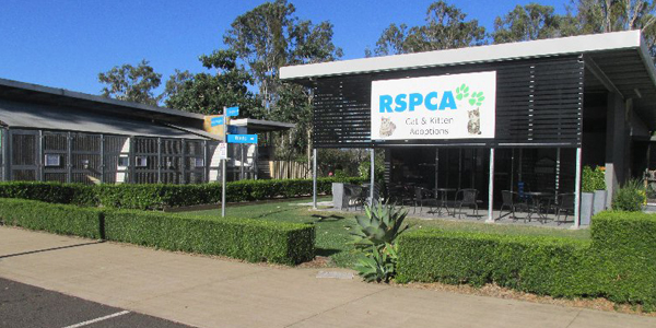 rspca rehoming centre