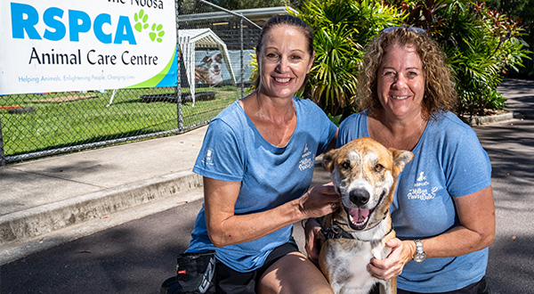 RSPCA Noosa Shelter Manager, Nicole, with team member and tan brindle bull arab dog pose at the front of the shelter