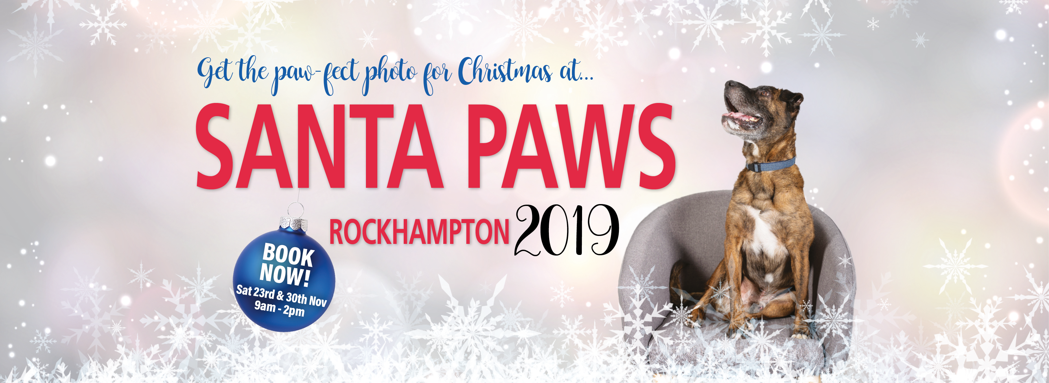 Rspca Queensland Santa Paws Rockhampton